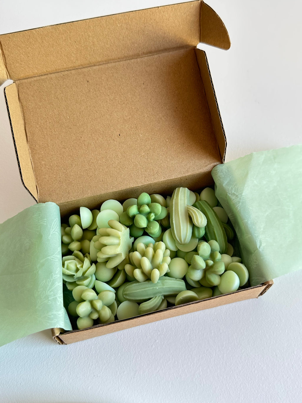 Wax Melts – Tierra Mojada