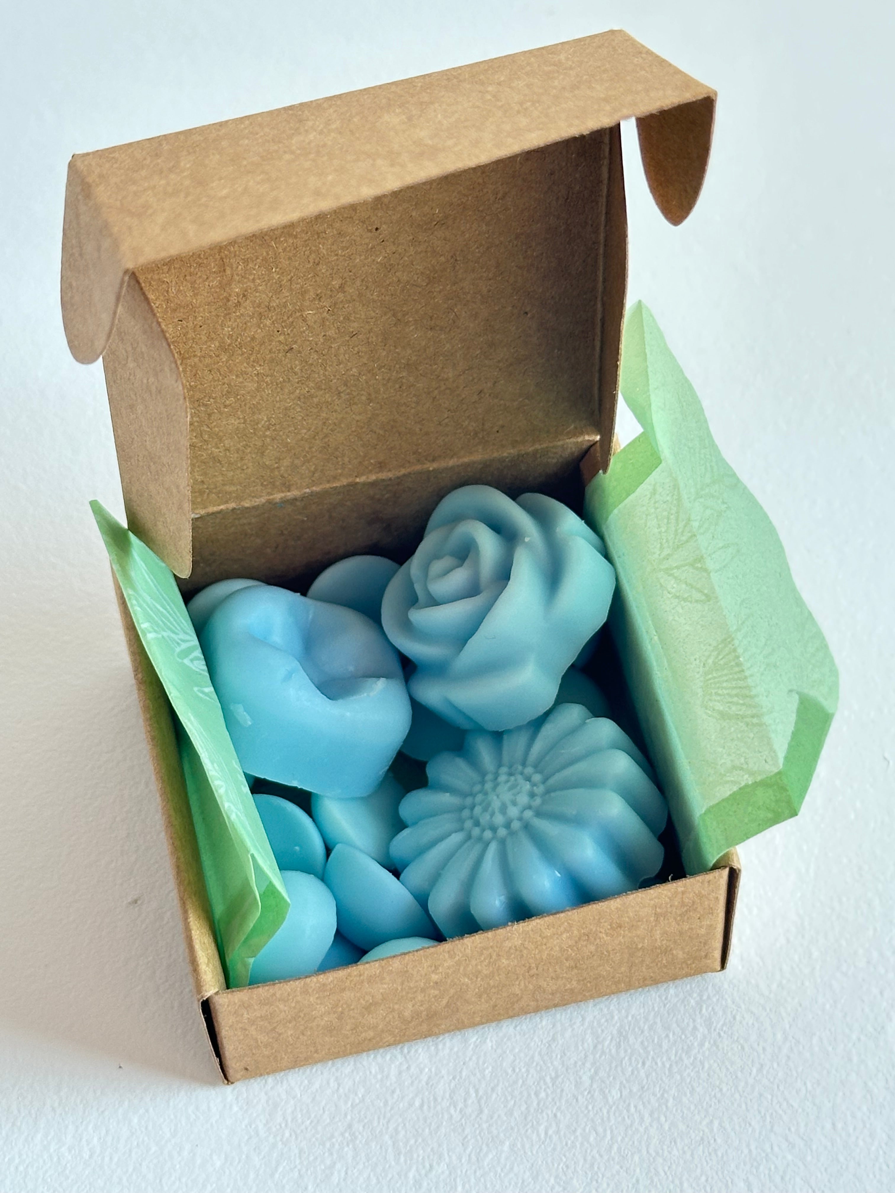 Wax Melts – Hogar Limpio
