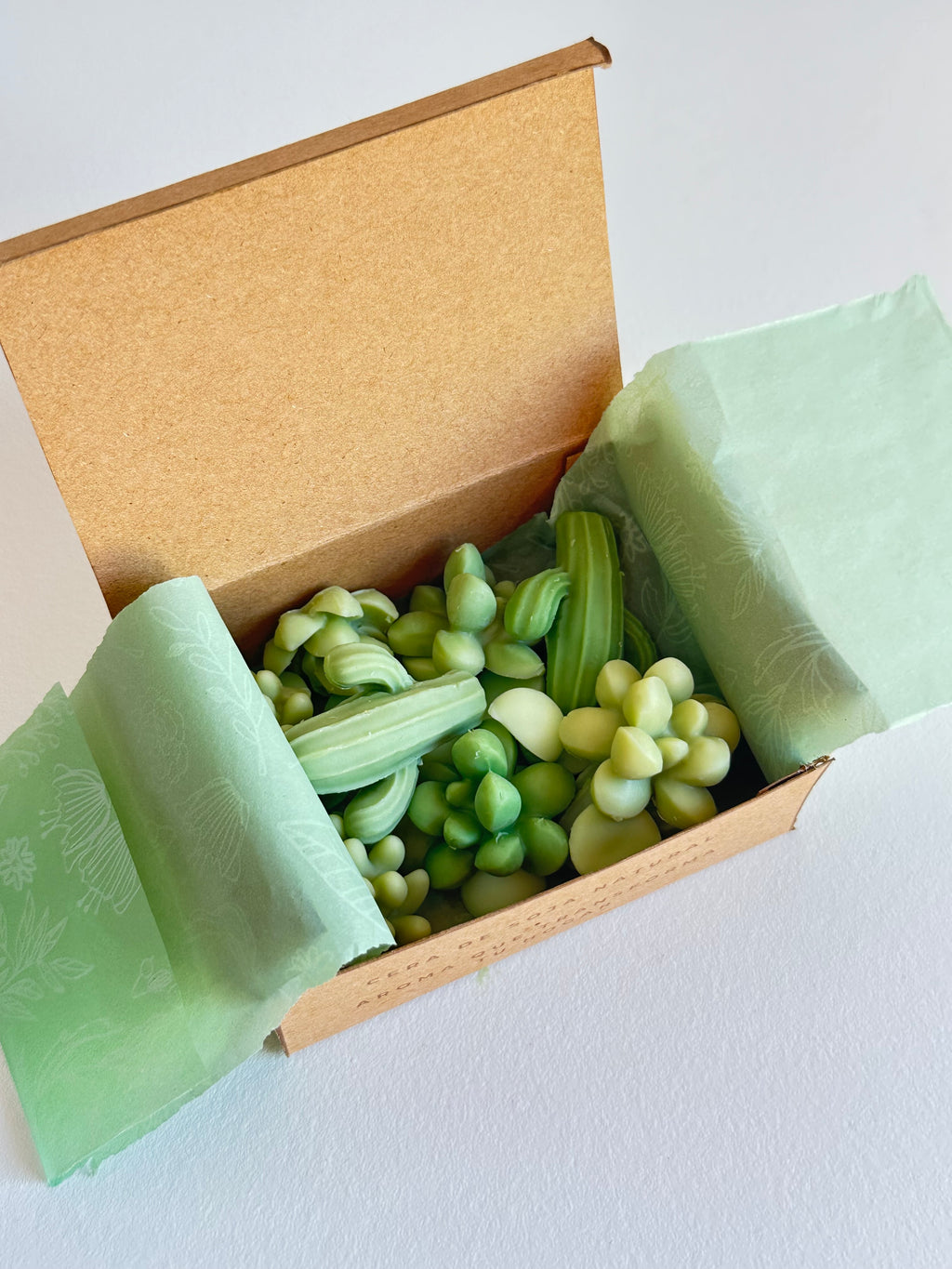 Wax Melts – Tierra Mojada