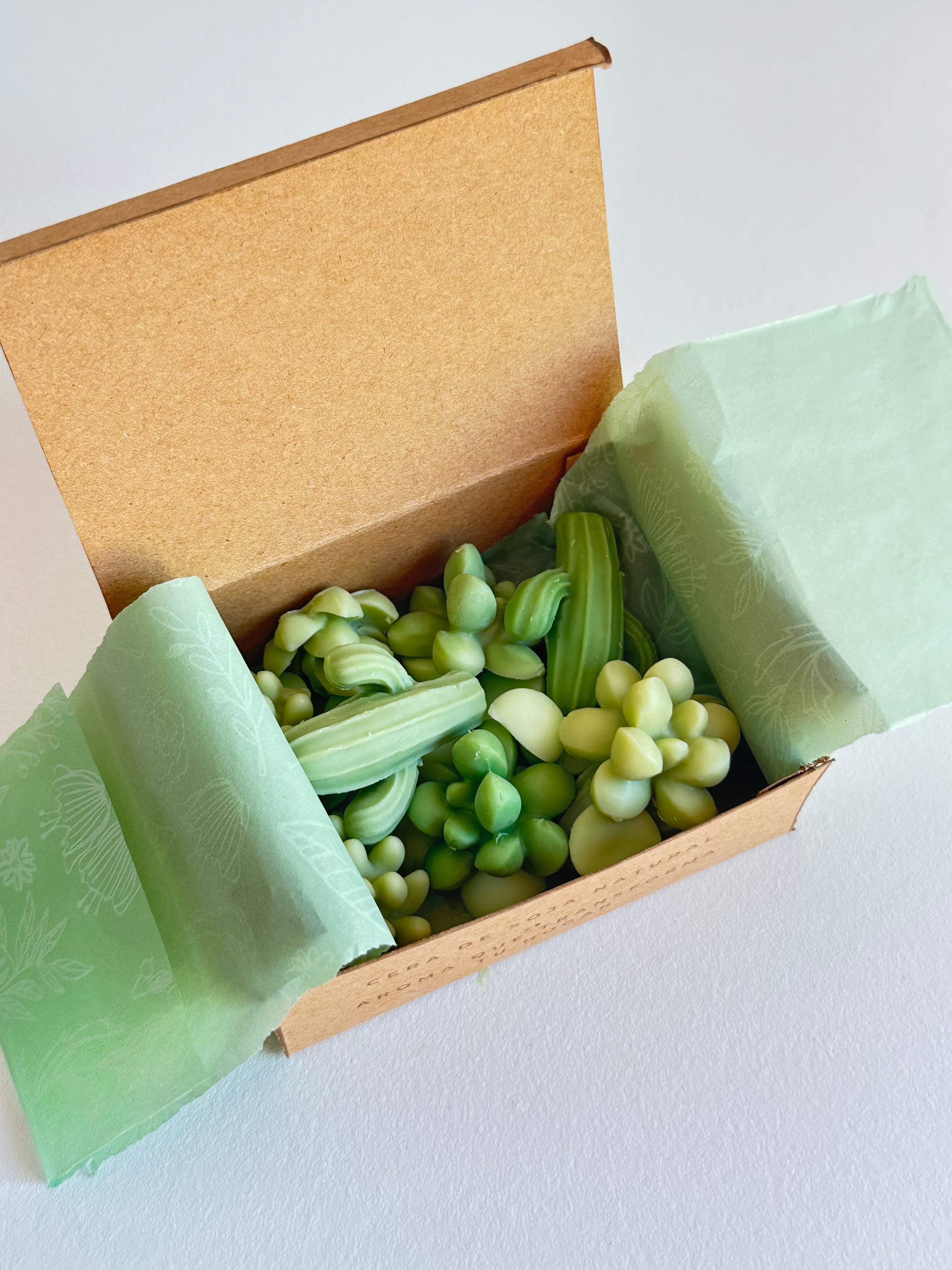 Wax Melts – Tierra Mojada