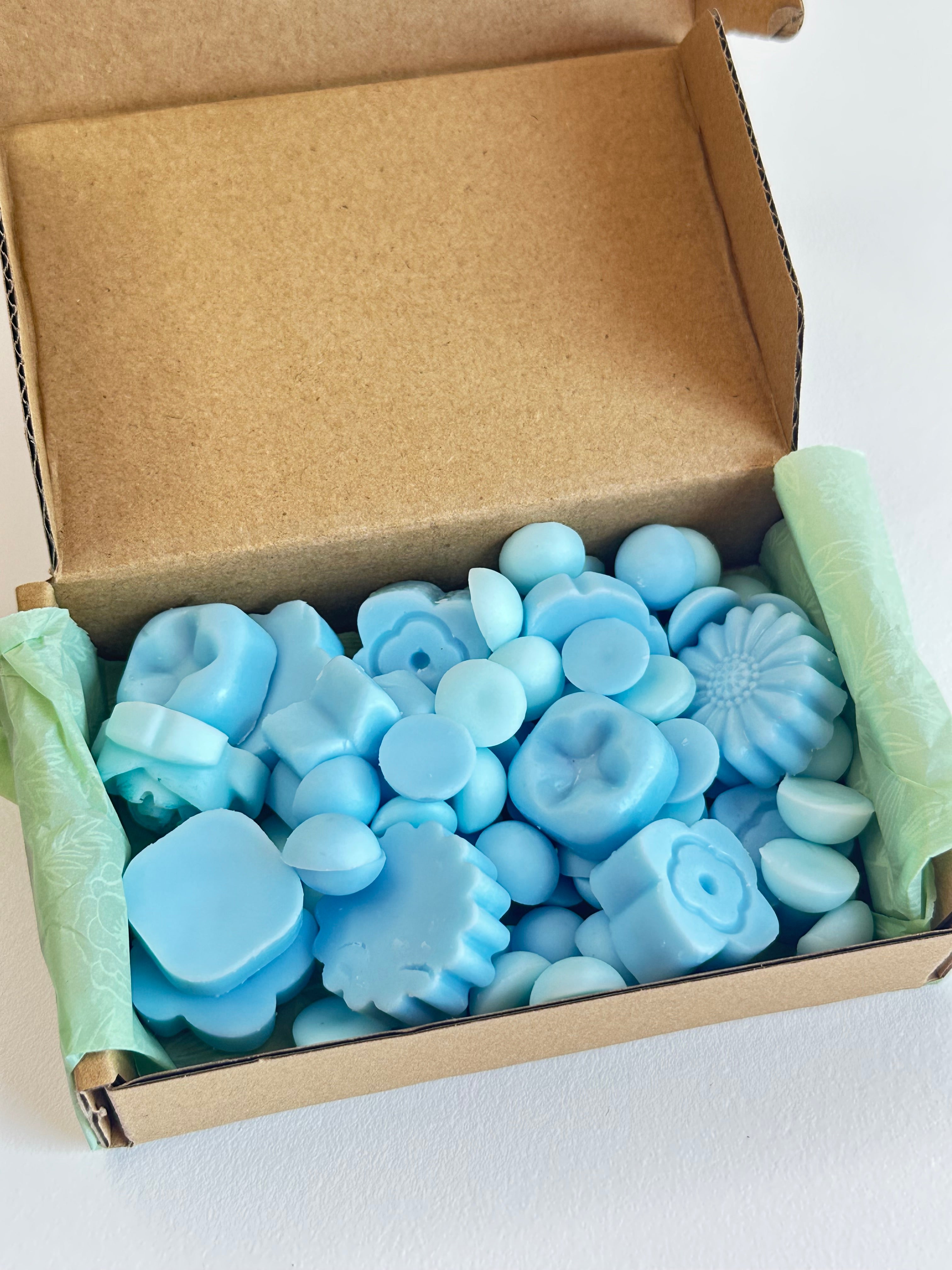 Wax Melts – Hogar Limpio