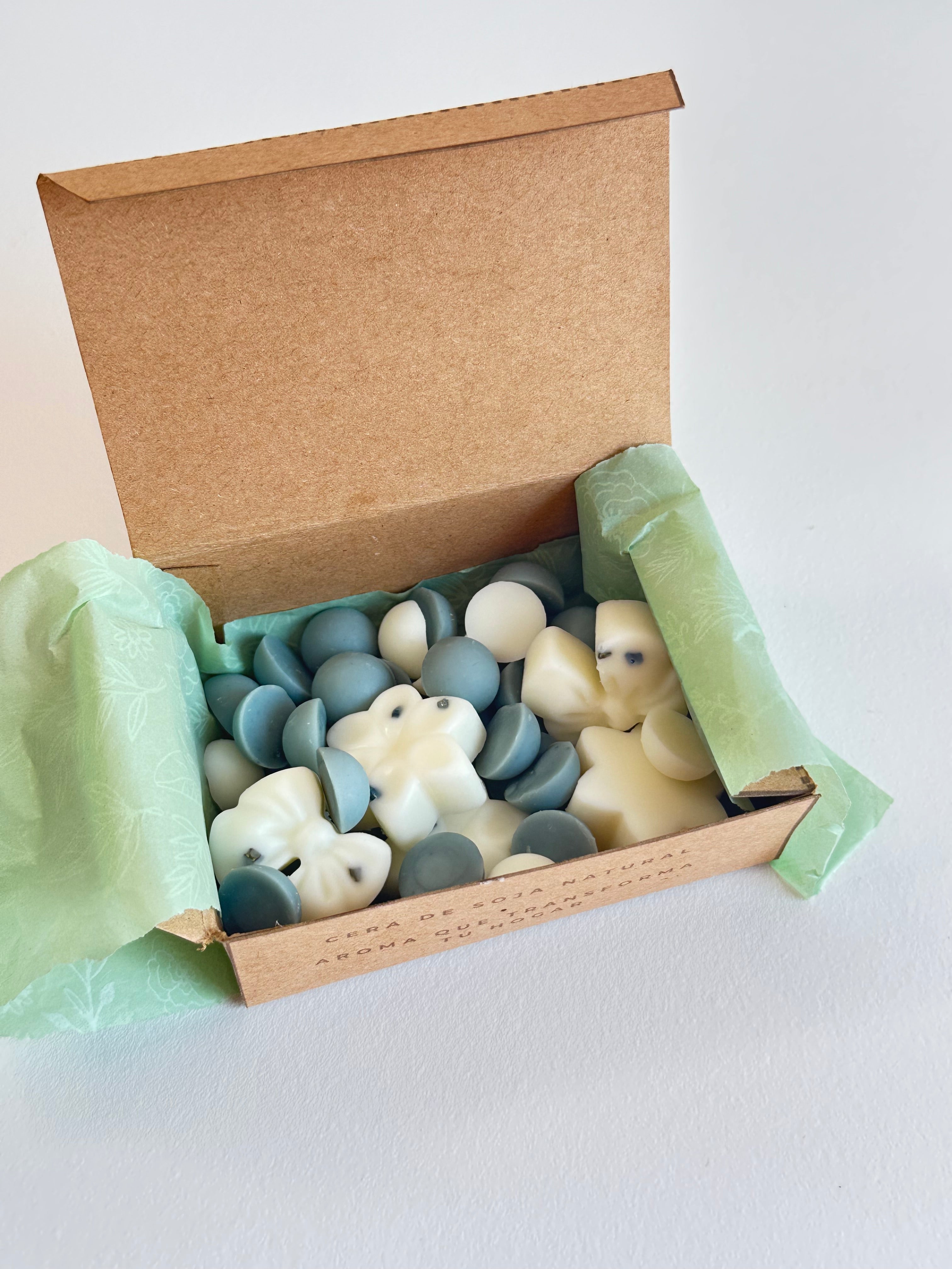 Wax Melts – Dama de Noche