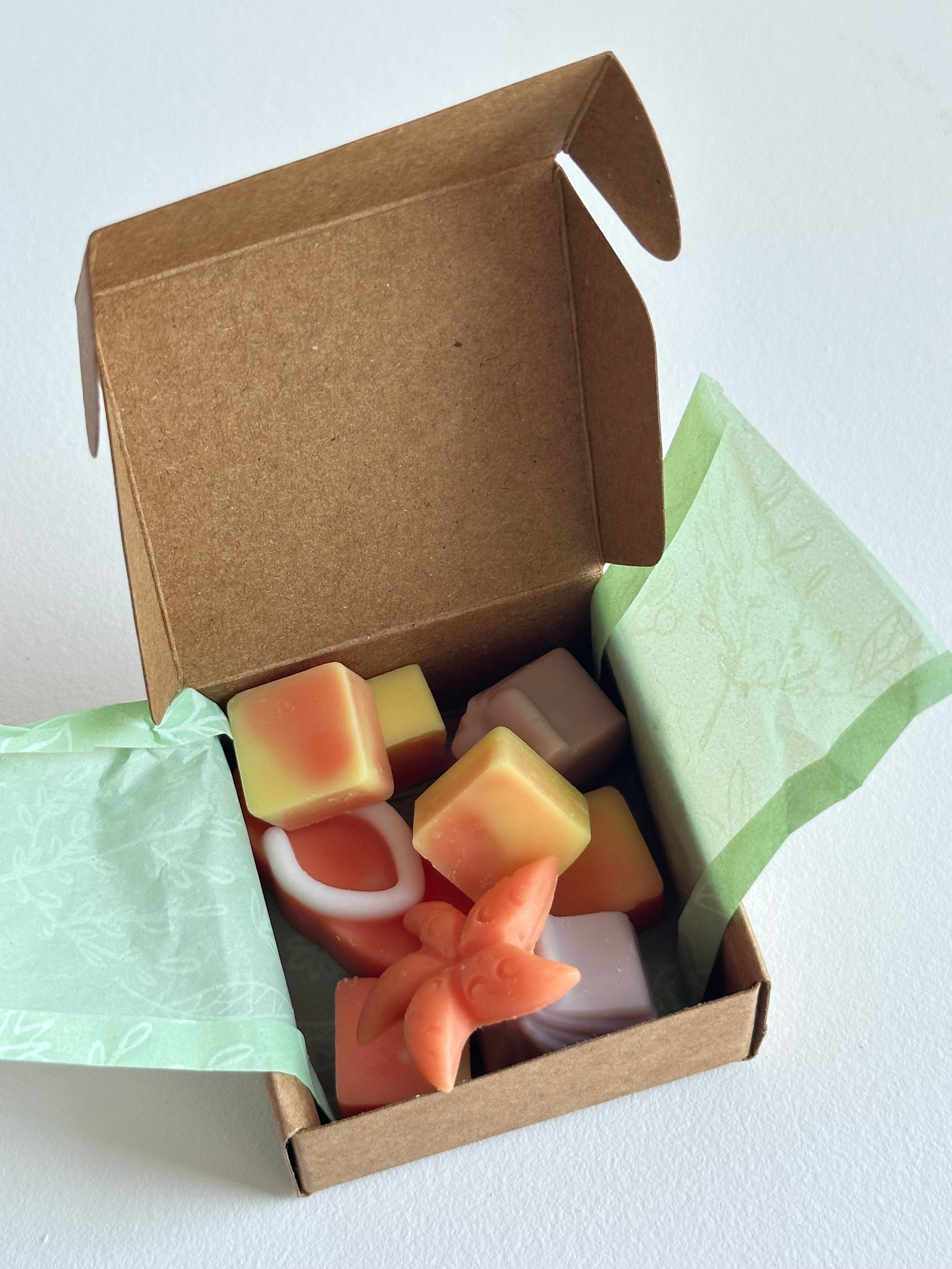 Wax Melts – Atardecer Tropical