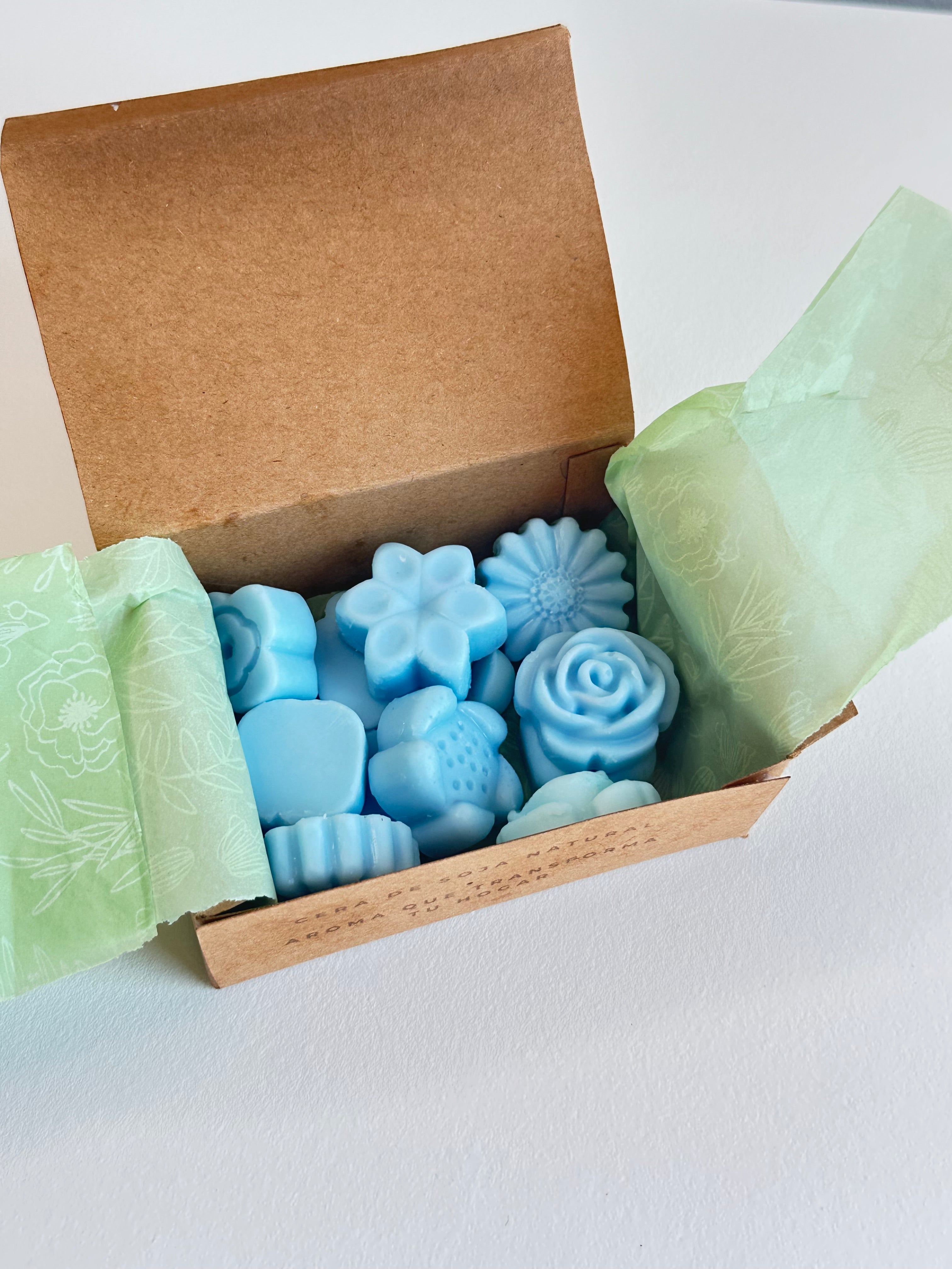 Wax Melts – Hogar Limpio