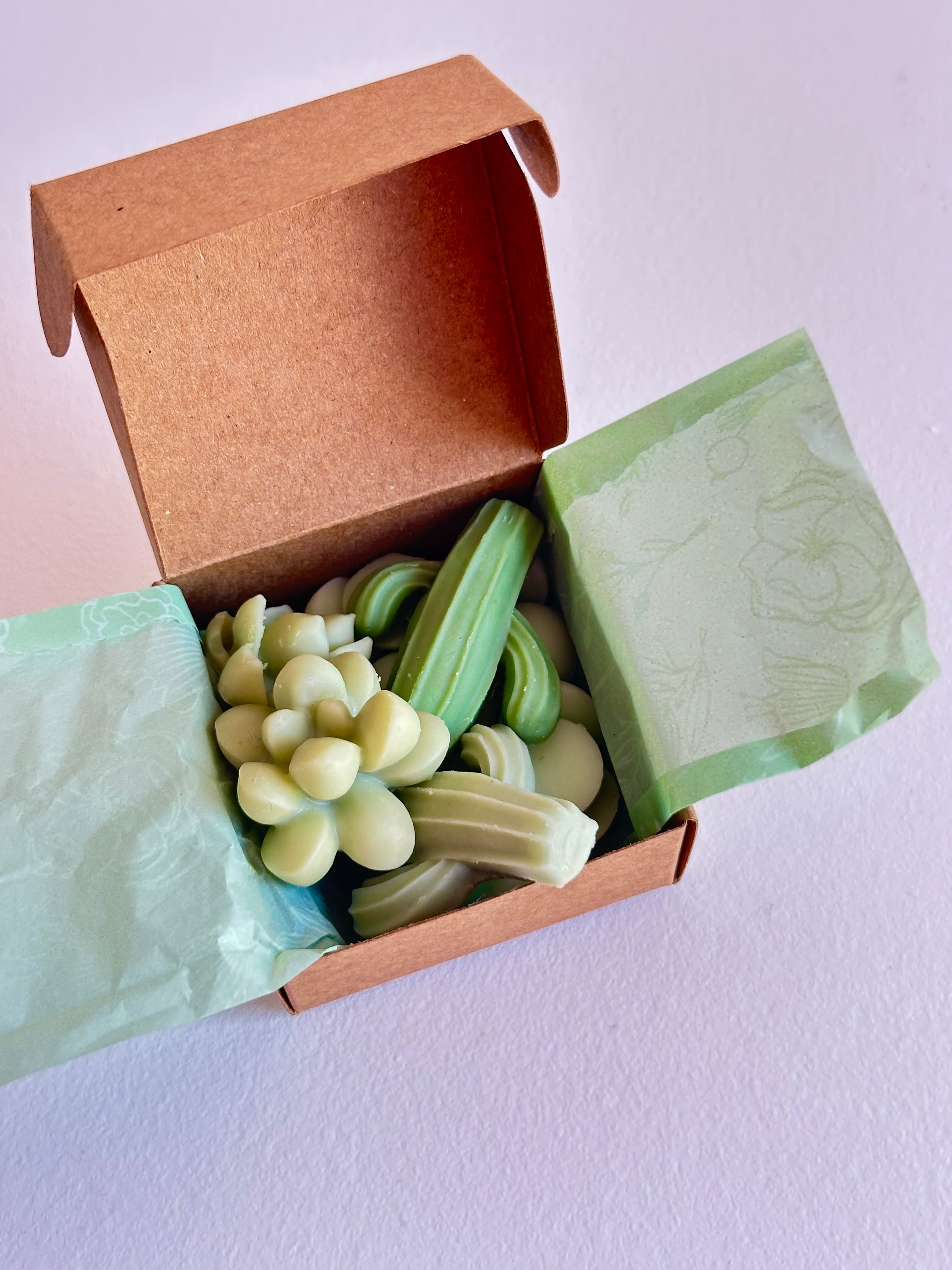 Wax Melts – Tierra Mojada
